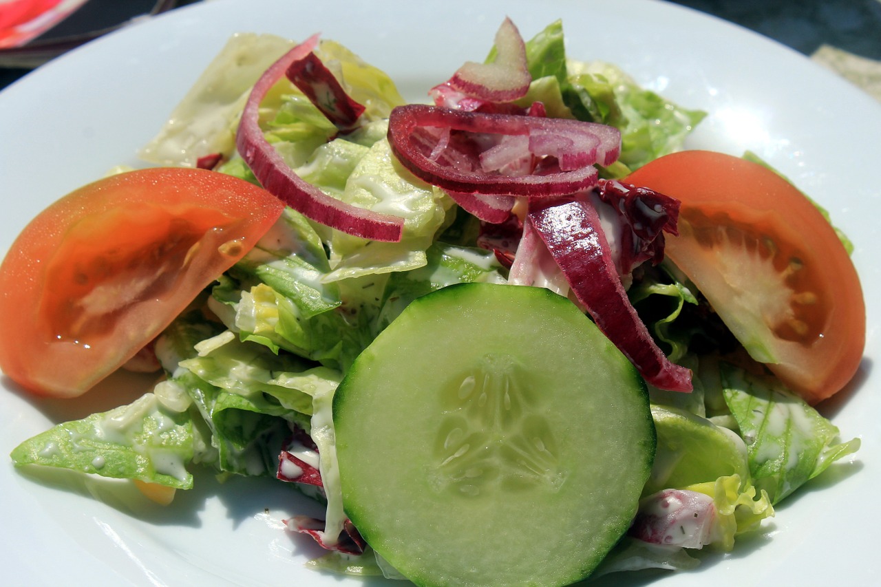 salad frisch food free photo