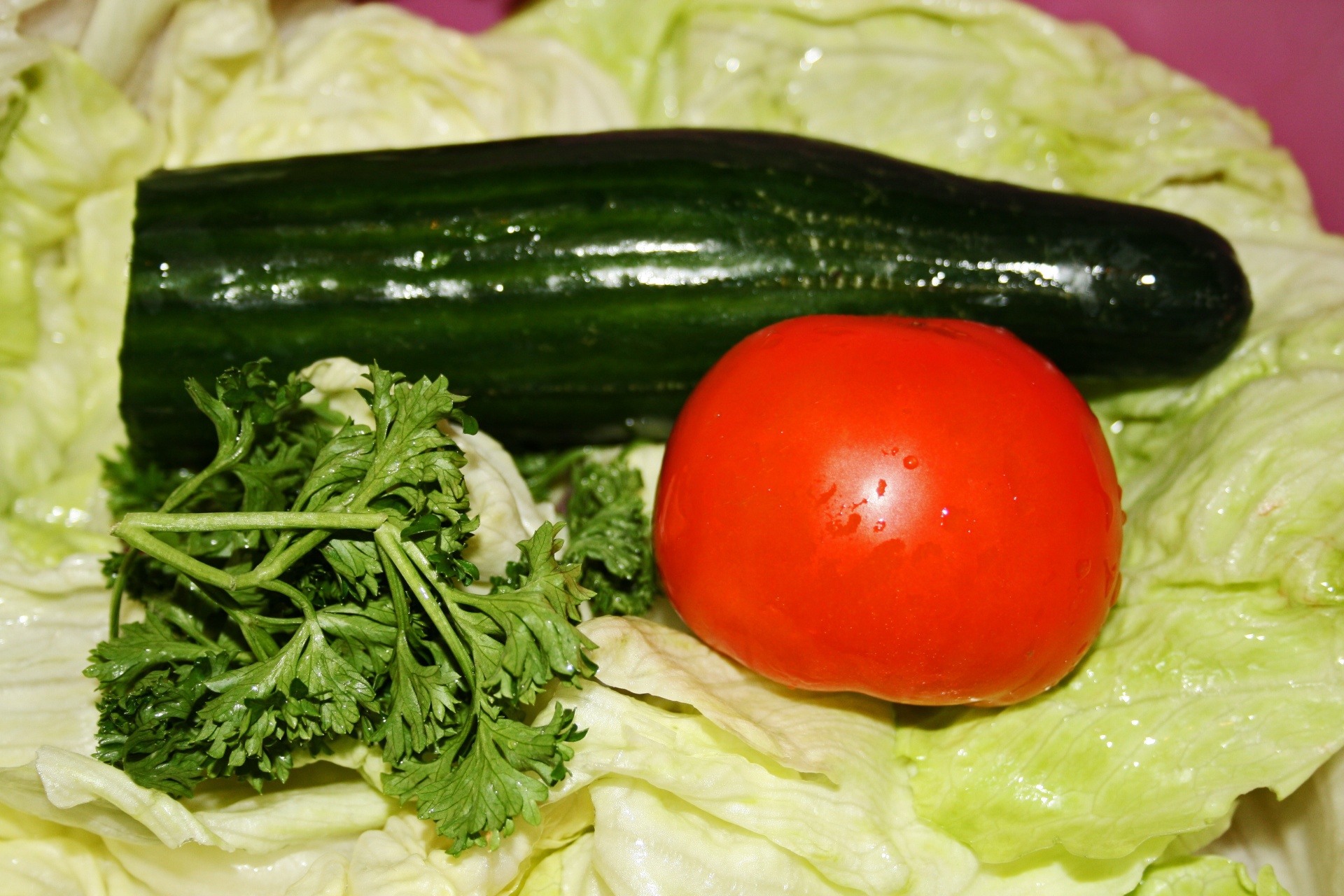 lettuce tomato cucumber free photo