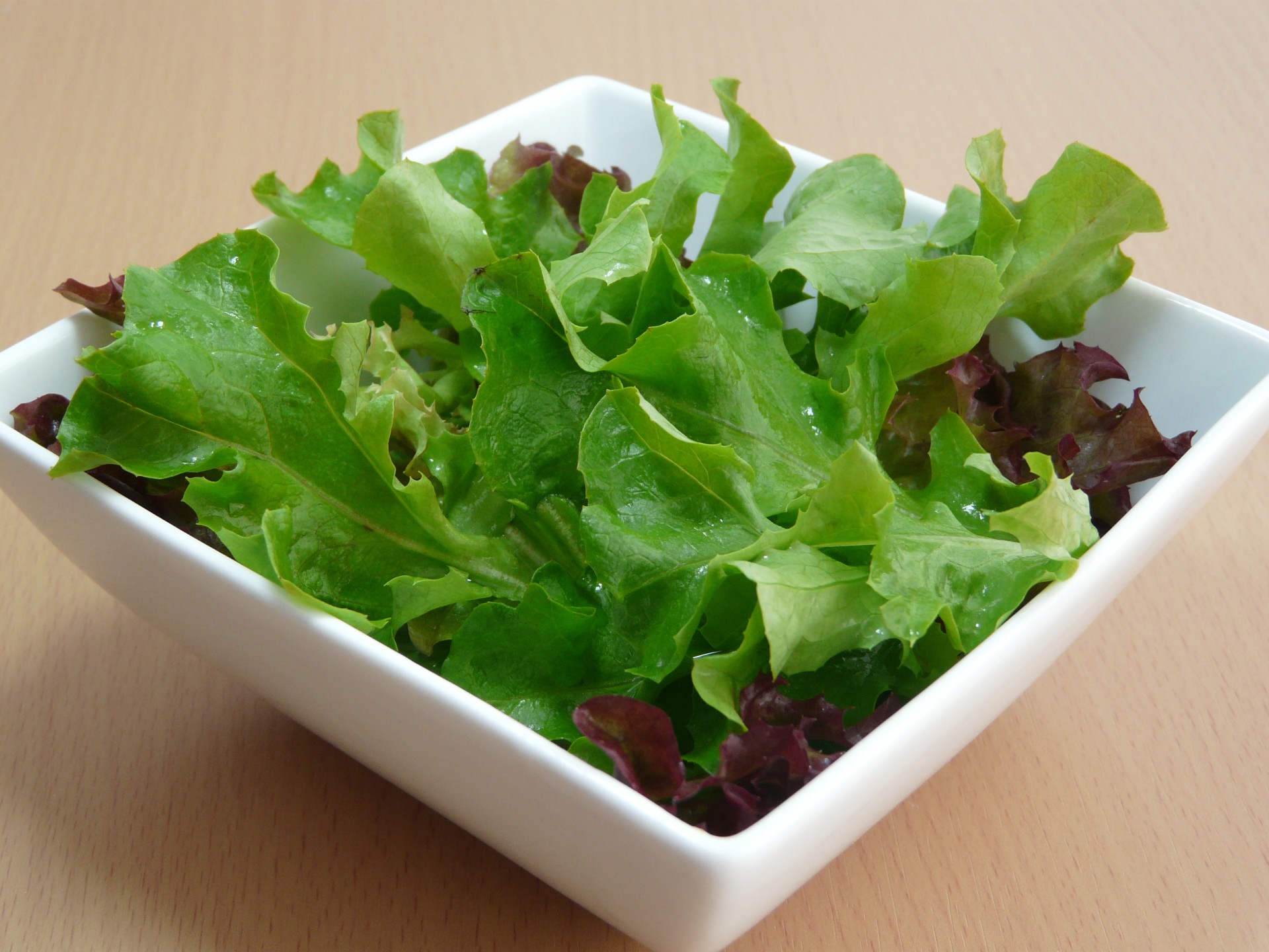 salad healthy eating free photo
