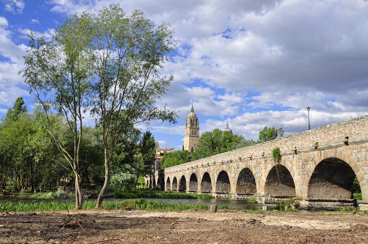 salamanca bridge sky free photo