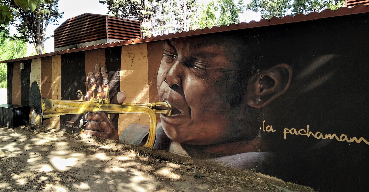 salamanca wall mural graffiti free photo