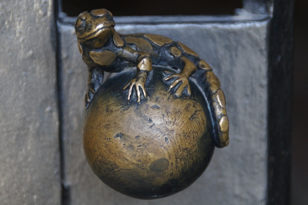 salamander  door knob  door free photo