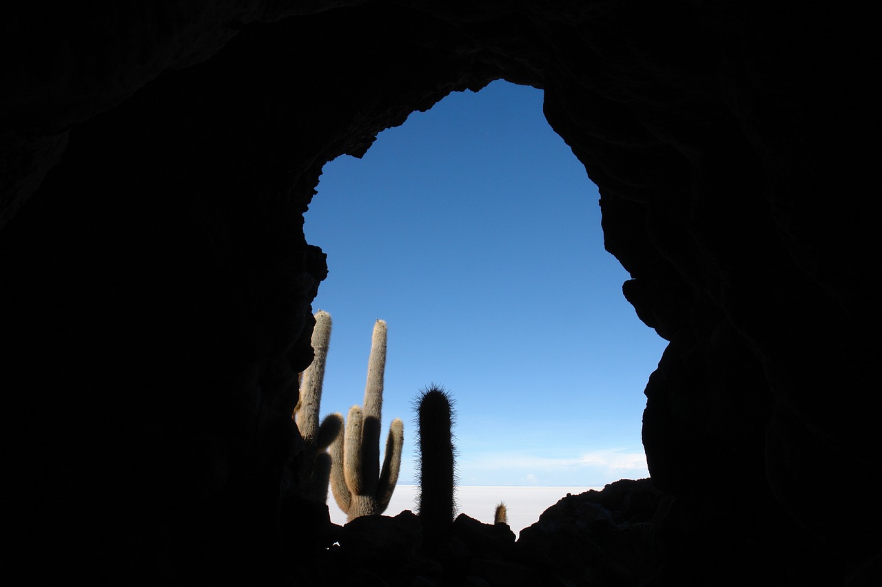 salar uyuni fish island salt free photo