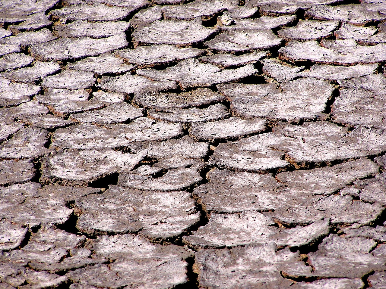 saline the ground cracked drought free photo