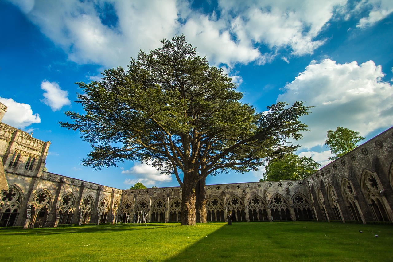 salisbury architecture england free photo