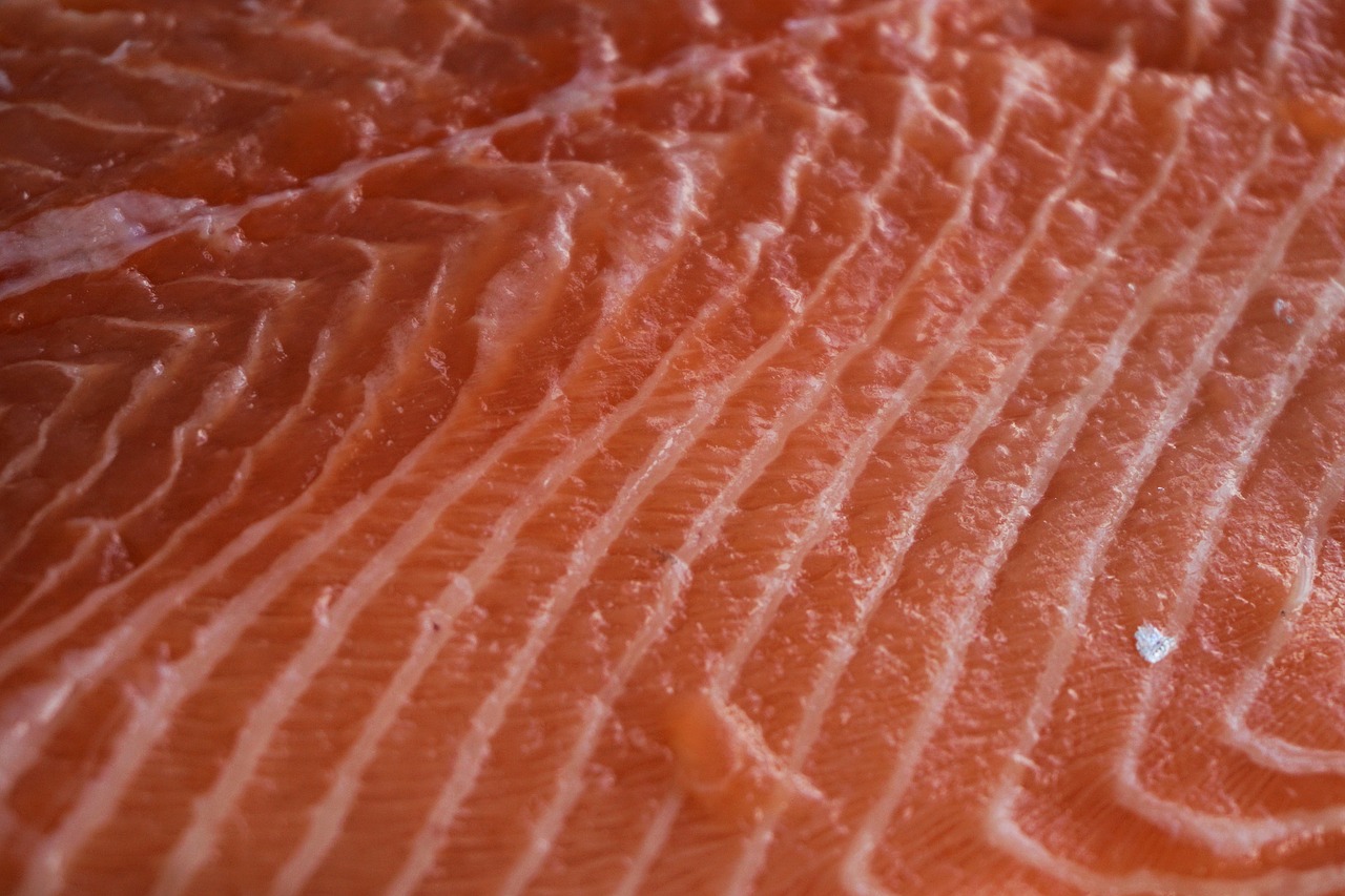 salmon fish fillet free photo