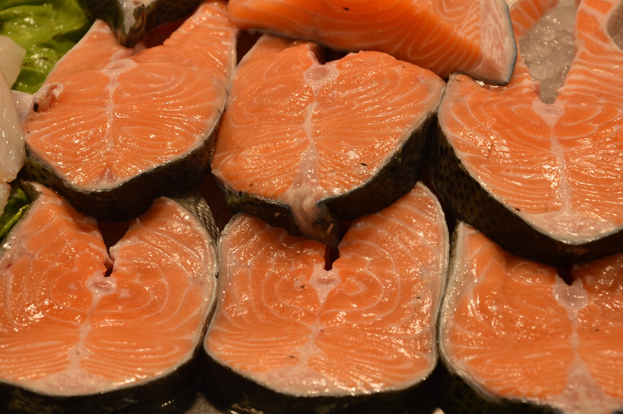 salmon fish market food free photo