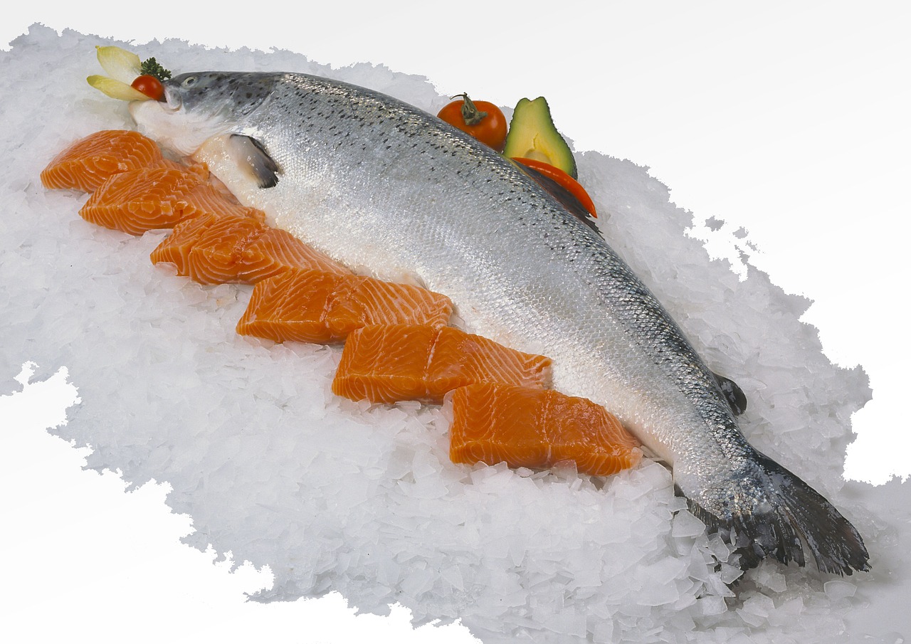salmon fillet fresh free photo