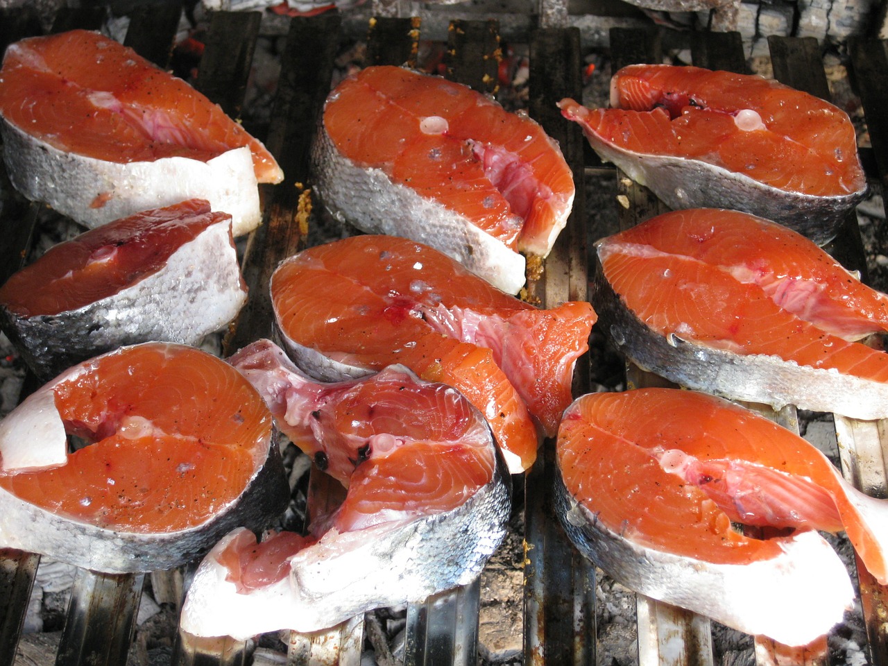 salmon raw grilled free photo