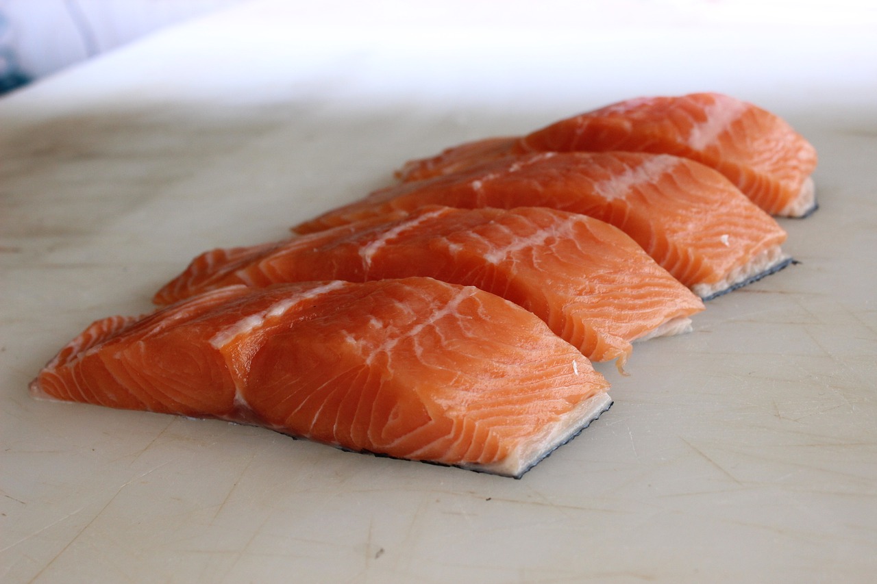 salmon fish raw free photo