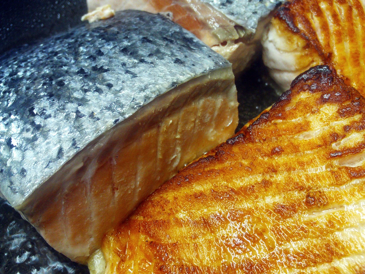 salmon fish food free photo