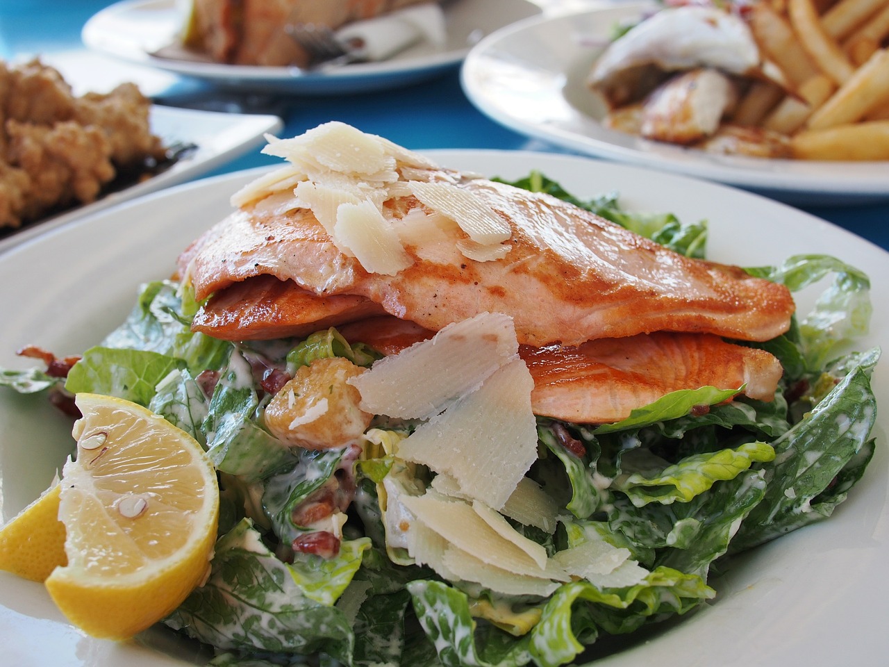 salmon dish salad free photo