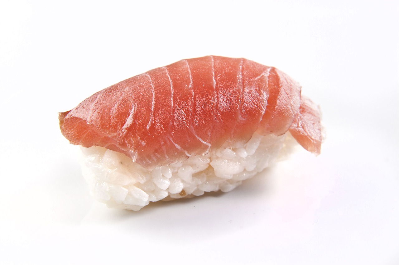 salmon fish nigiri free photo