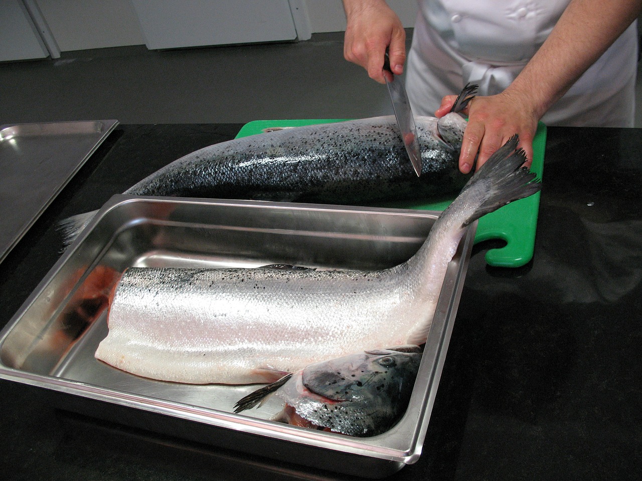 salmon norway sea ​​fish free photo