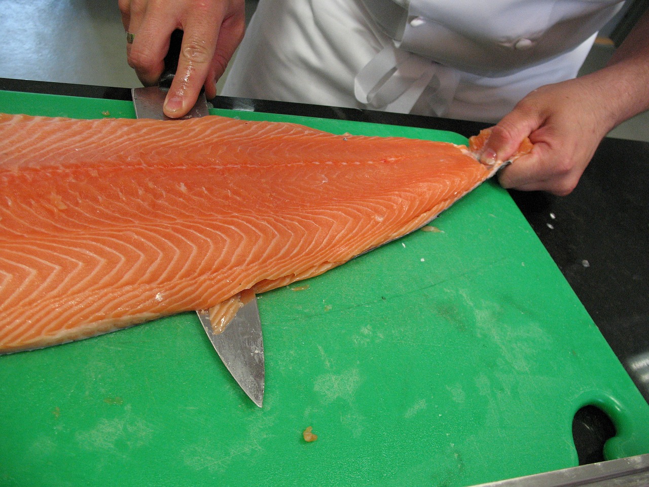salmon norway sea ​​fish free photo