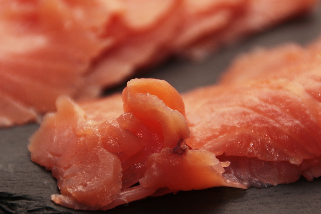 salmon fish raw free photo