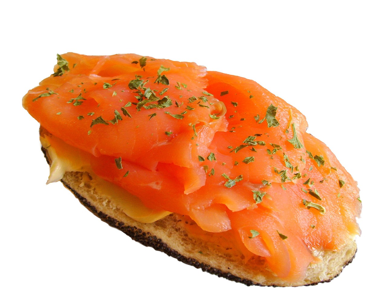 salmon bun salmon sandwich salmon free photo