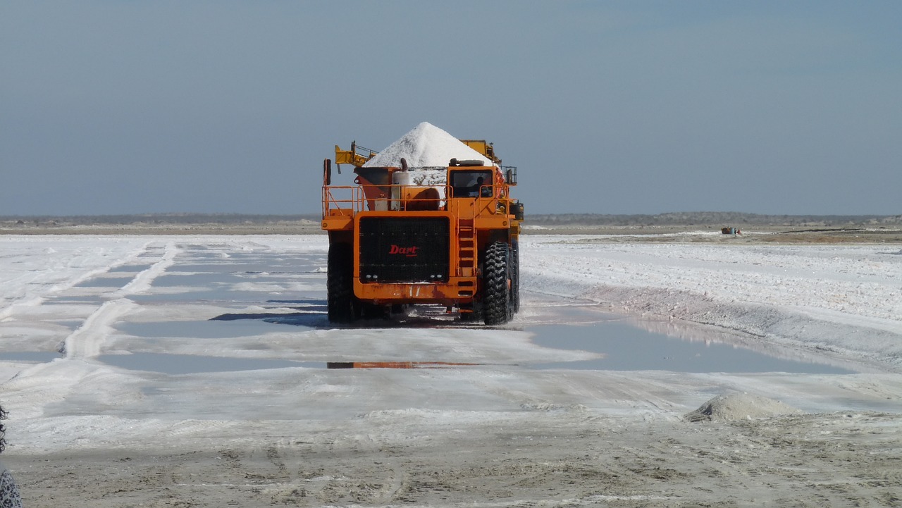 salt baja california sur black warrior free photo