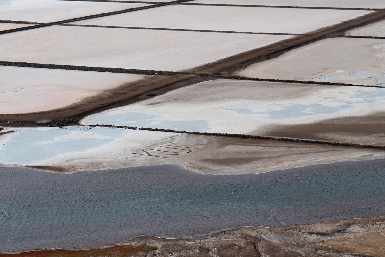 salt landscape square free photo