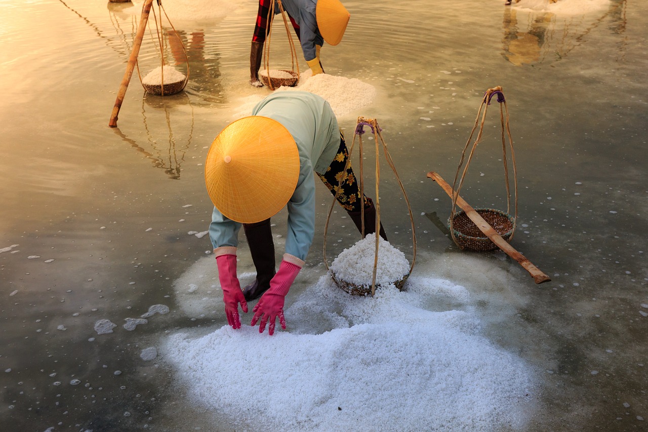 salt hon khoi vietnam free photo