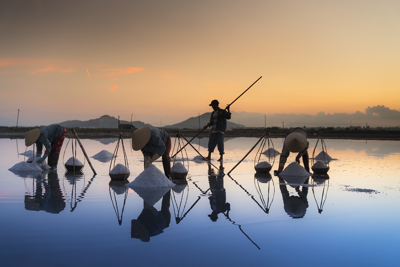 salt hon khoi vietnam free photo