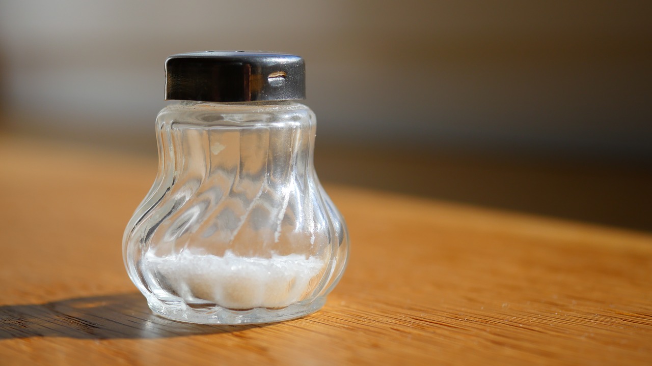 salt  mineral  salt shaker free photo