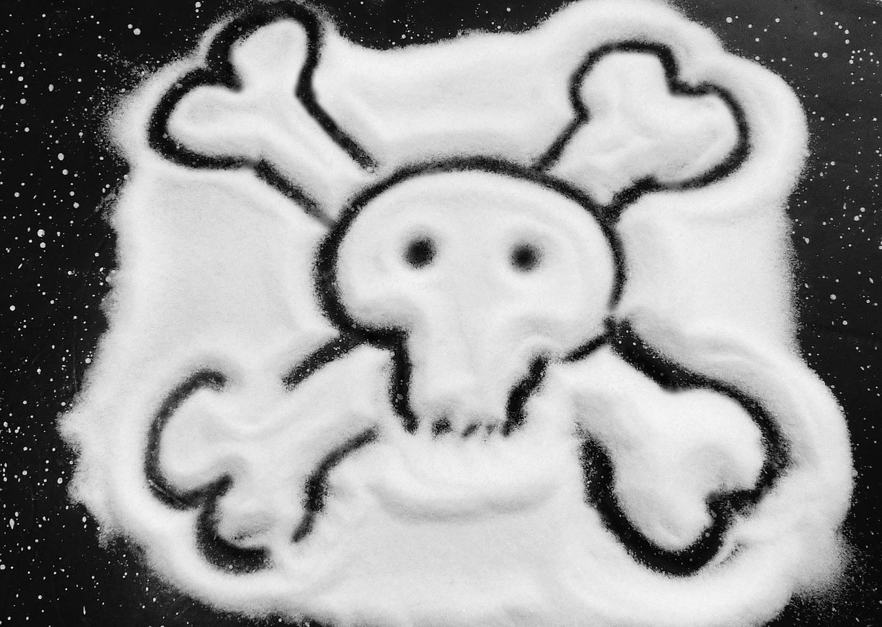 salt skull and crossbones food free photo