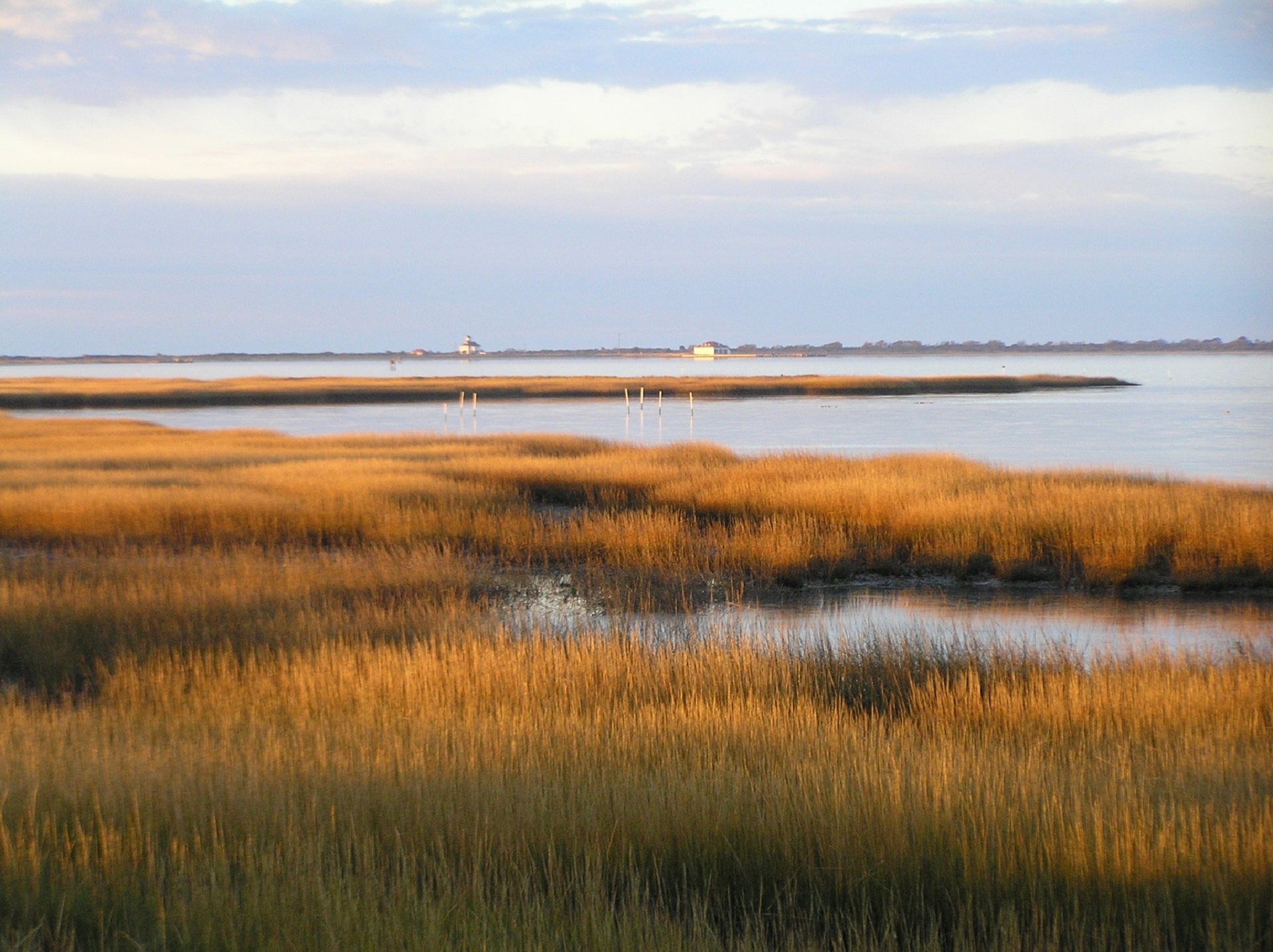 marsh salt scenic free photo