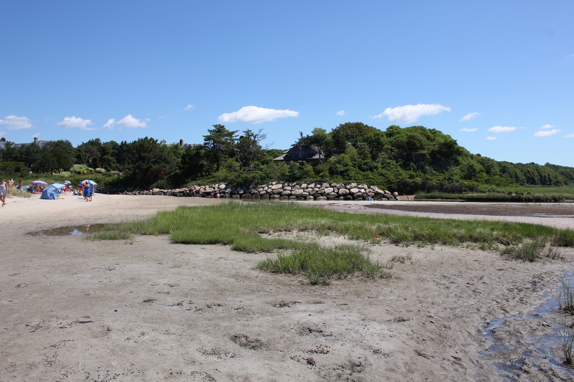 salt marsh salt marsh free photo