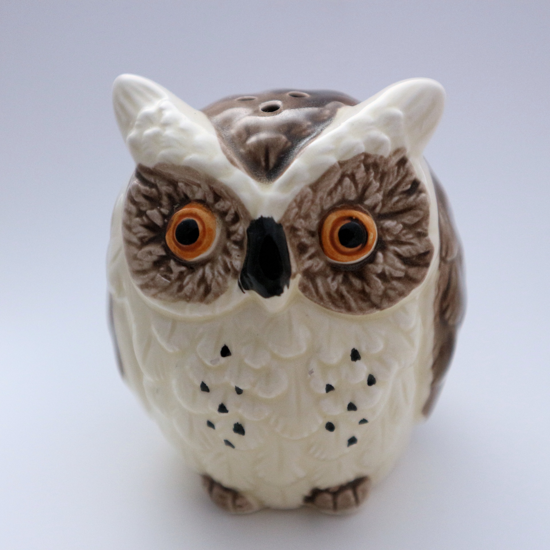 porcelain owl salt free photo