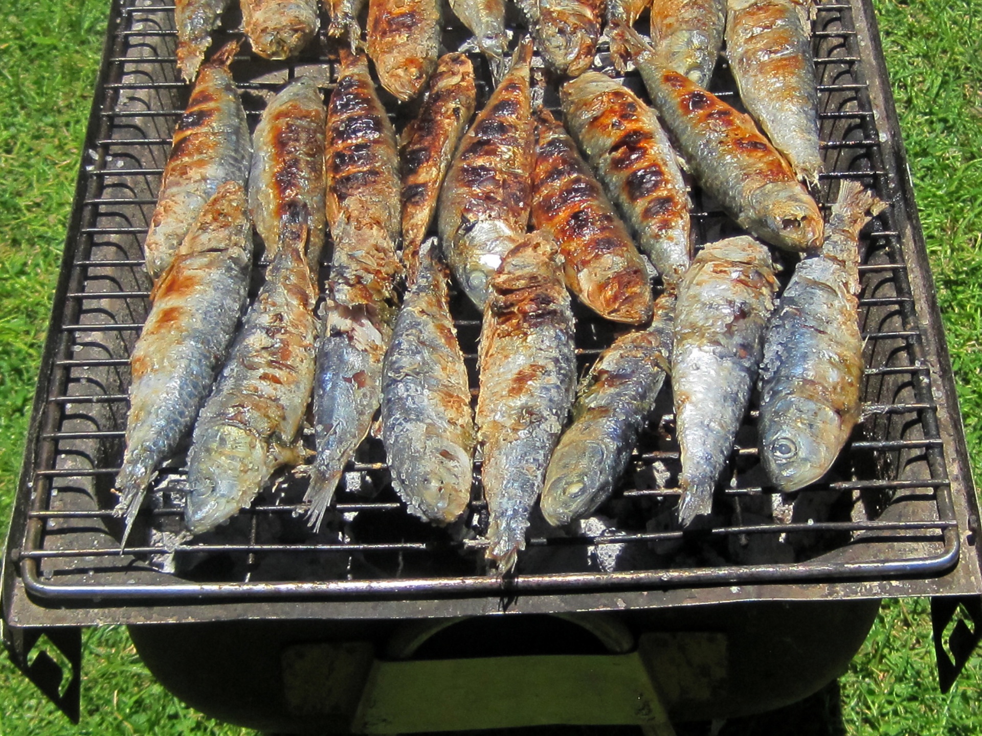 fish sardine salted free photo