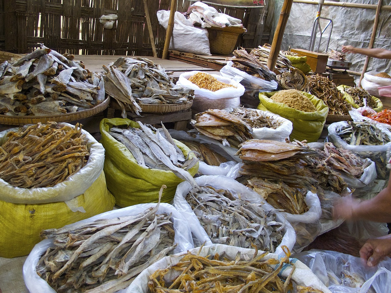 salting fish dry fish free photo