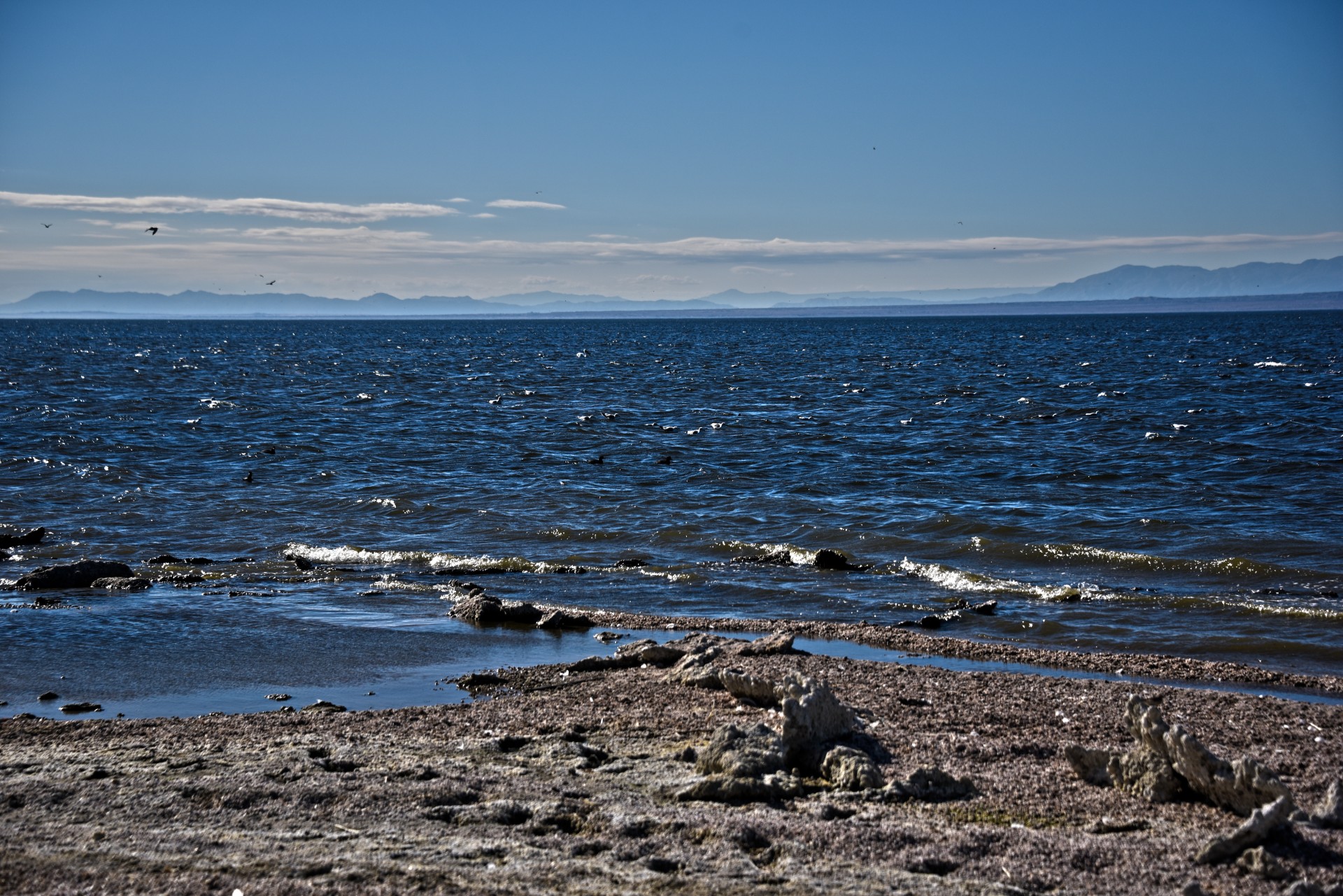 sea shore landscape free photo