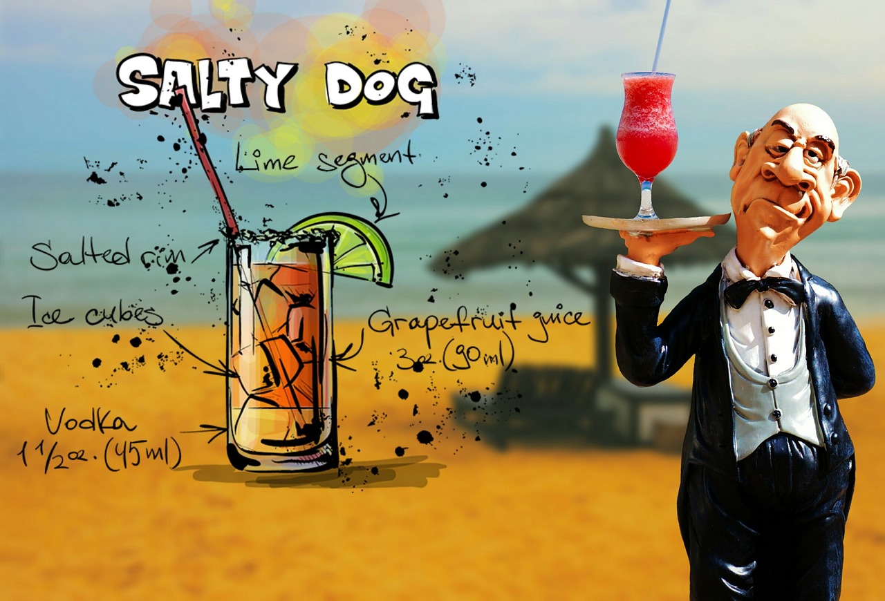 salty dog cocktail drink free photo