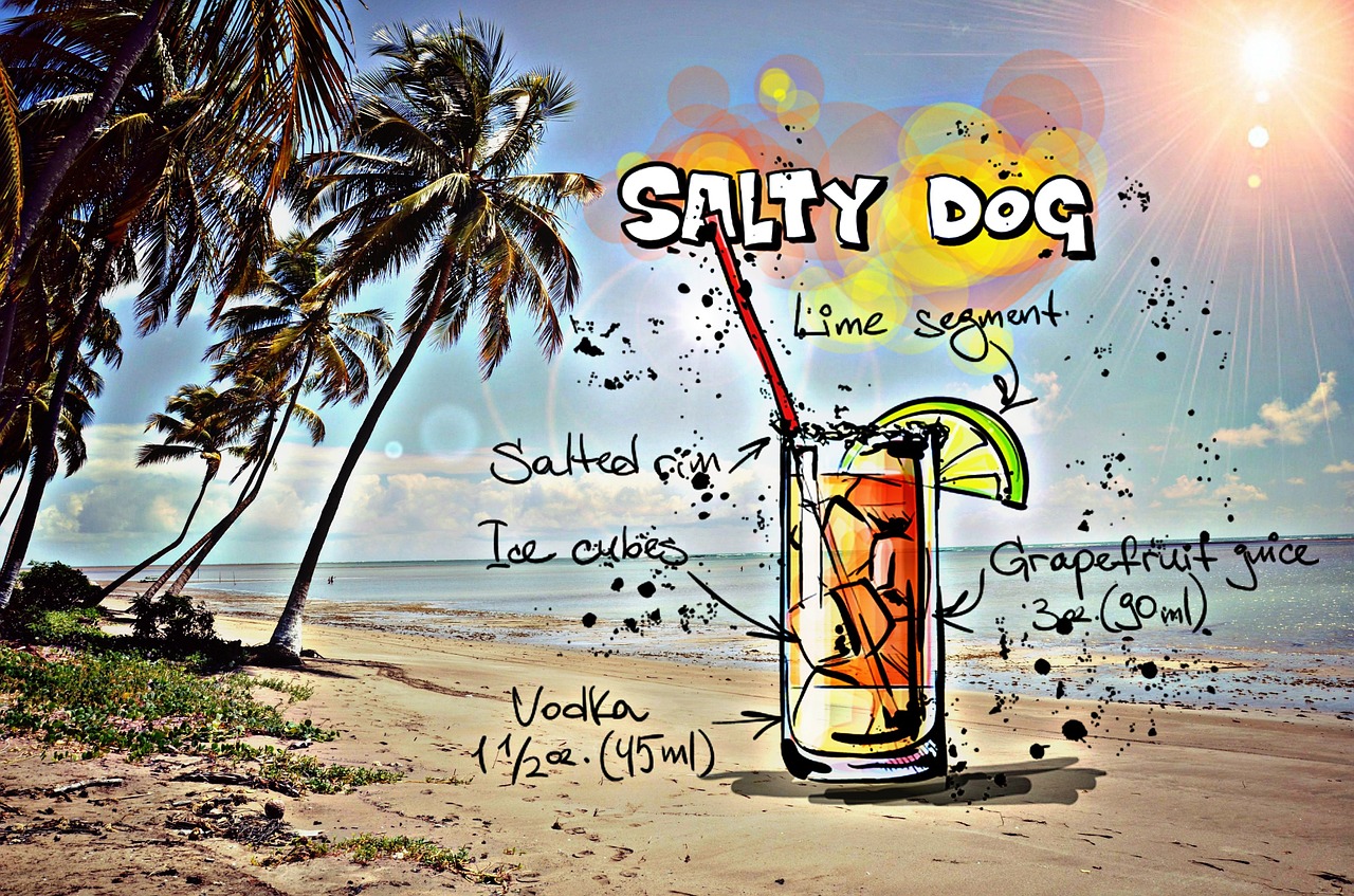 salty dog cocktail drink free photo