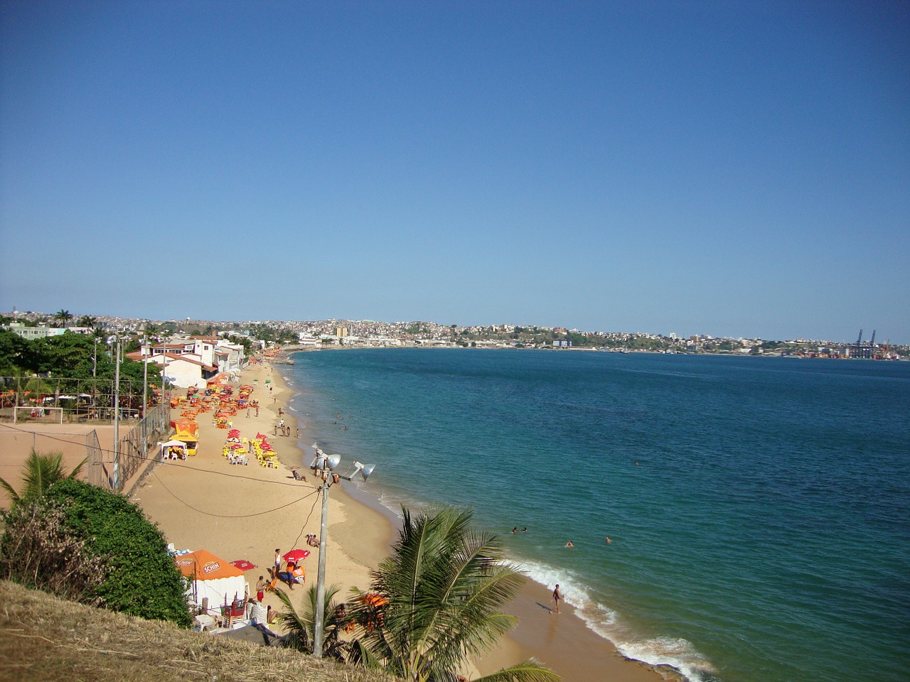 salvador bahia beach free photo