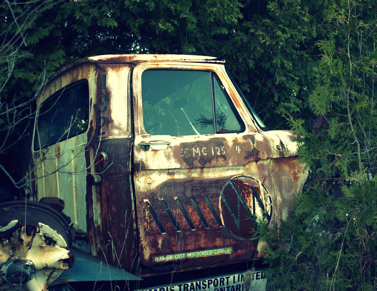 salvage yard car wreck free photo