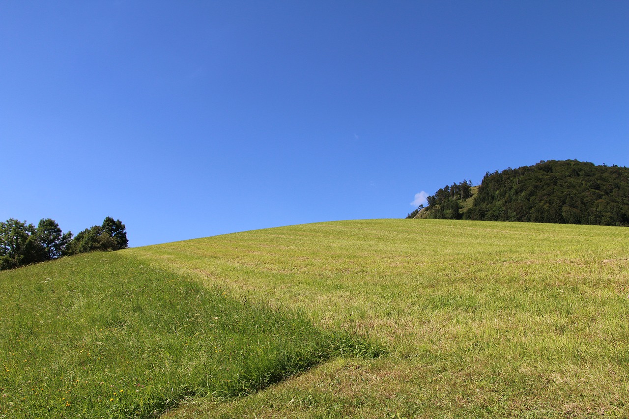 salzburg gaisberg meadow free photo