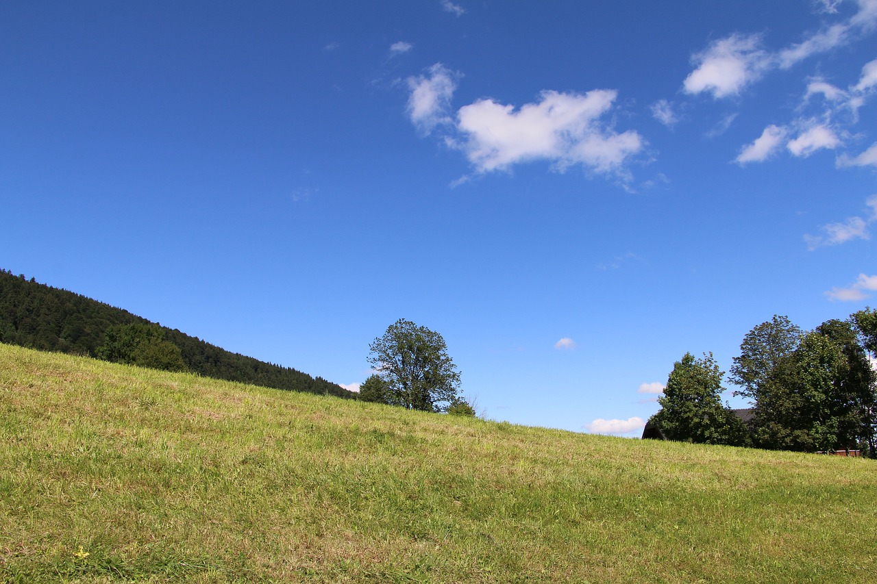 salzburg gaisberg meadow free photo