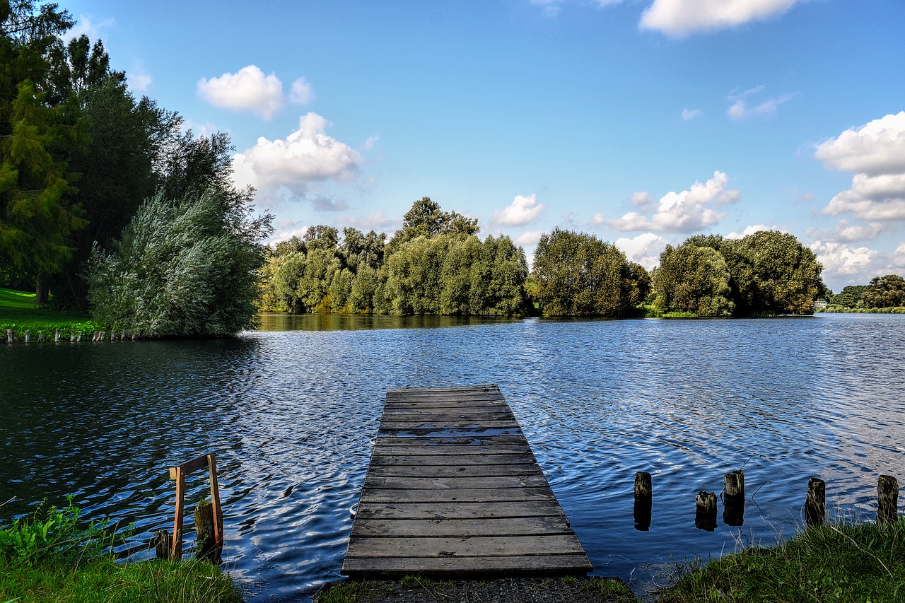 salzgitter lake salzgittersee free photo