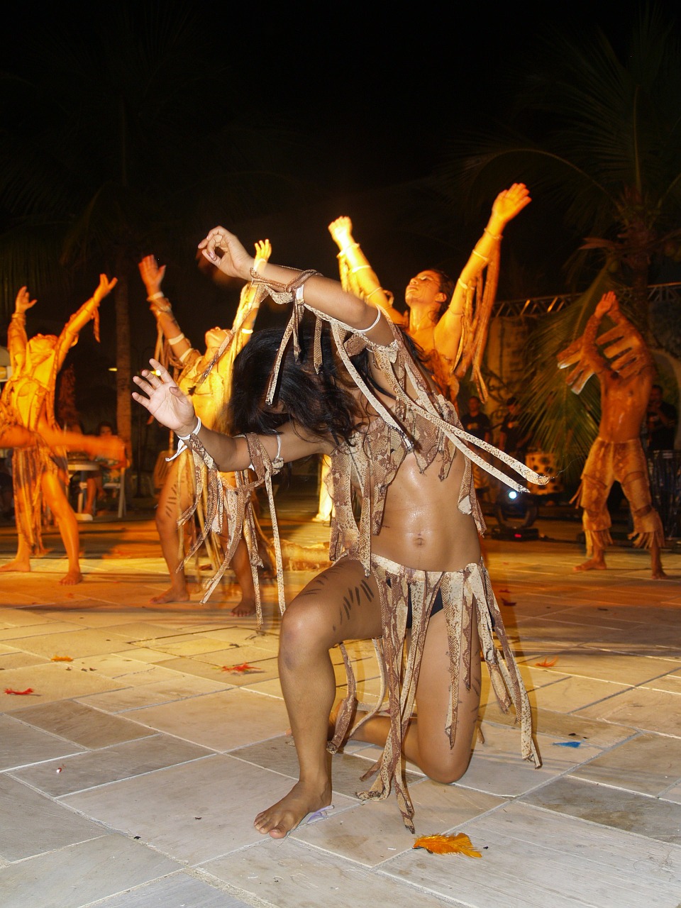 samba dancer show free photo