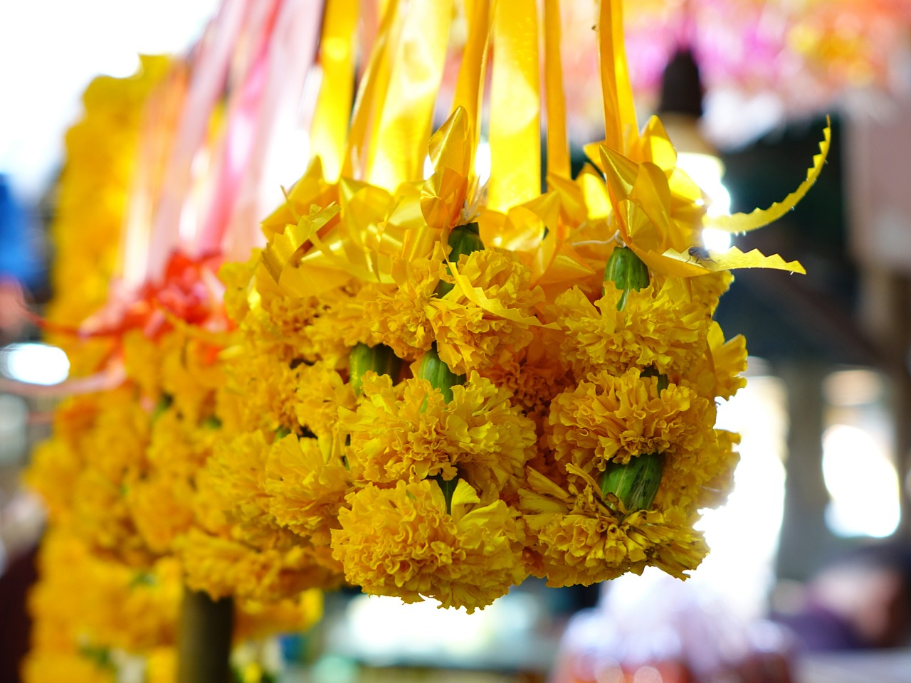 sampaguita flowers thailand prayer free photo