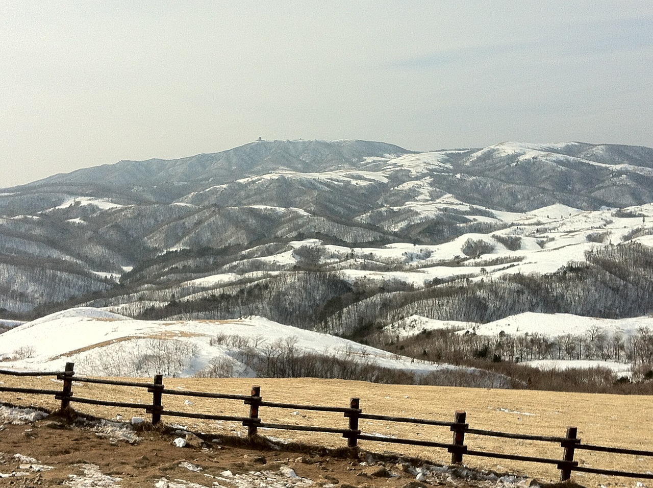 samyang ranch gangwon do snow free photo