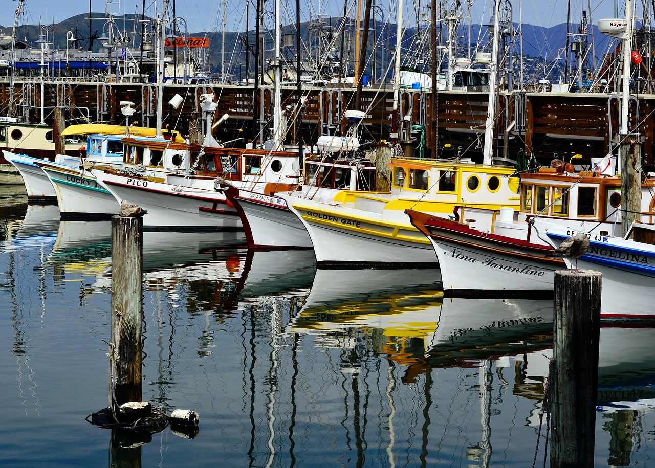 san francisco yachts free photo