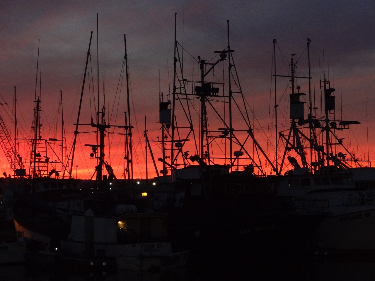 san diego boats sail free photo