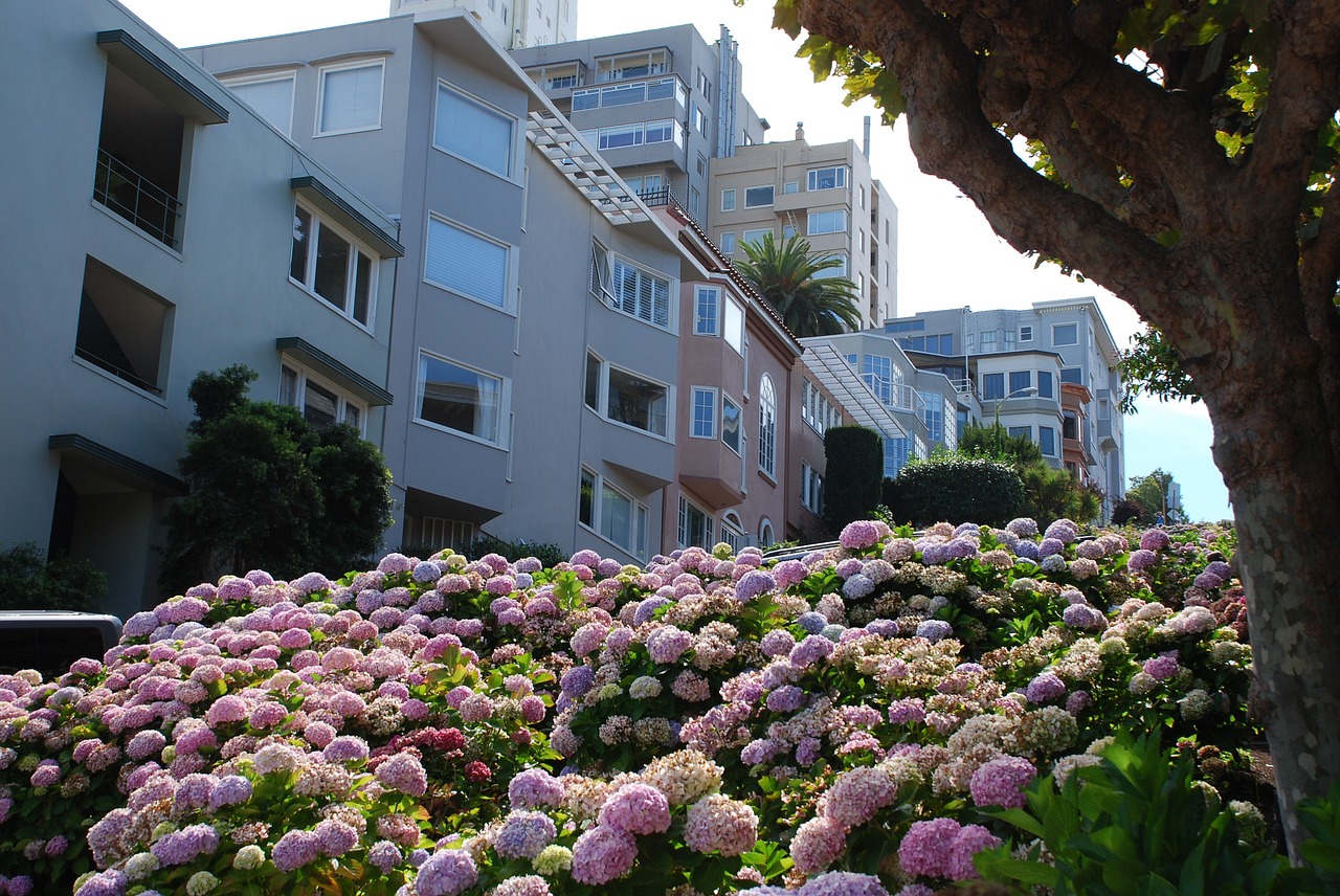 san francisco lombard hill free photo