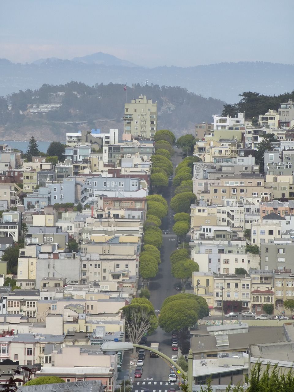 san francisco street california free photo