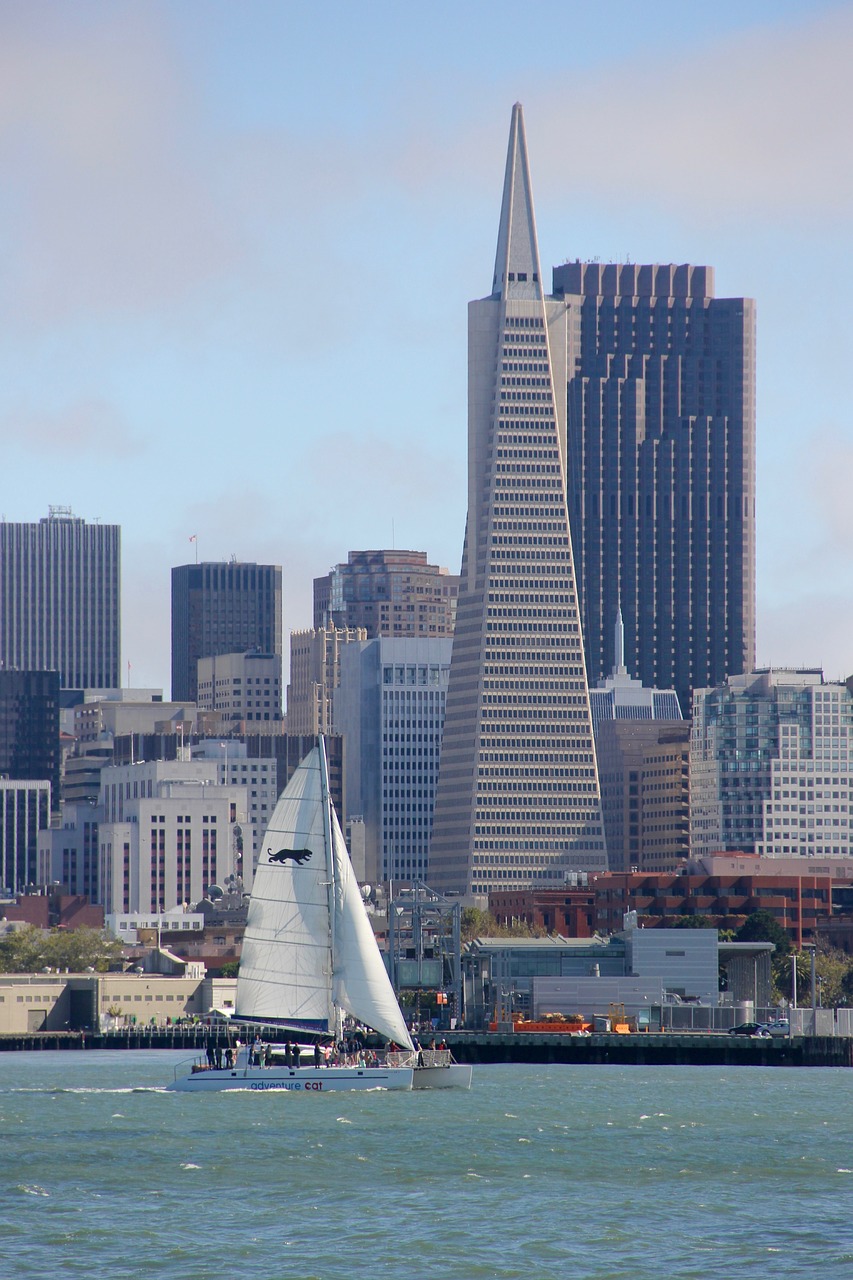 san francisco skyline sail free photo