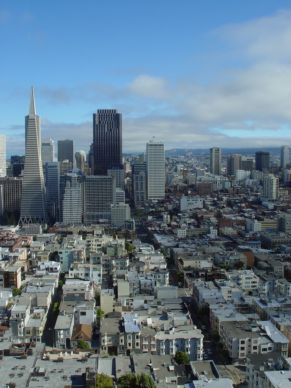 san francisco skyline city free photo