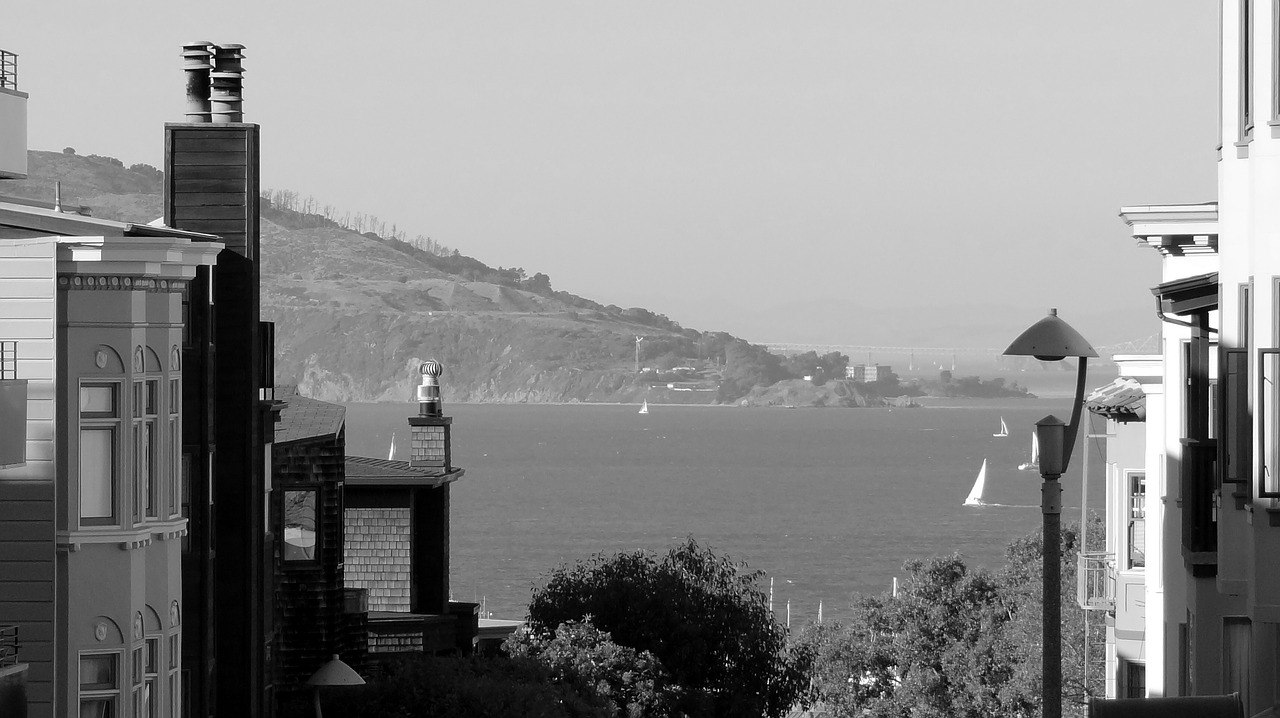 san francisco  bay  buildings free photo